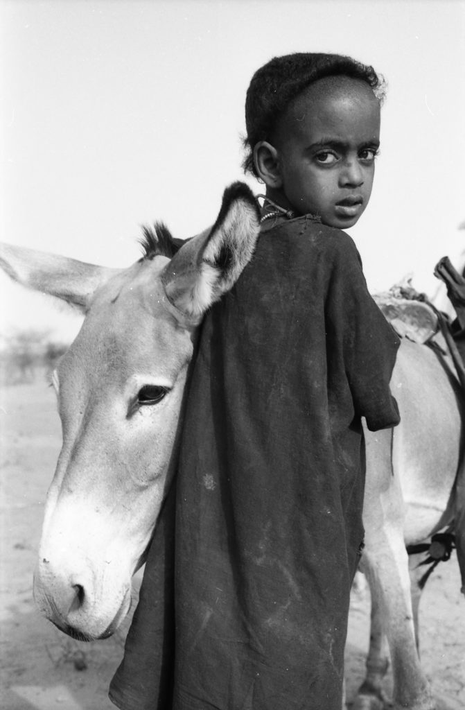 Les enfants du Sahara